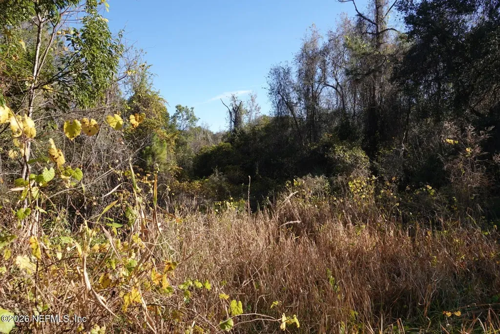 525 Raulerson Road Seville FL 32190