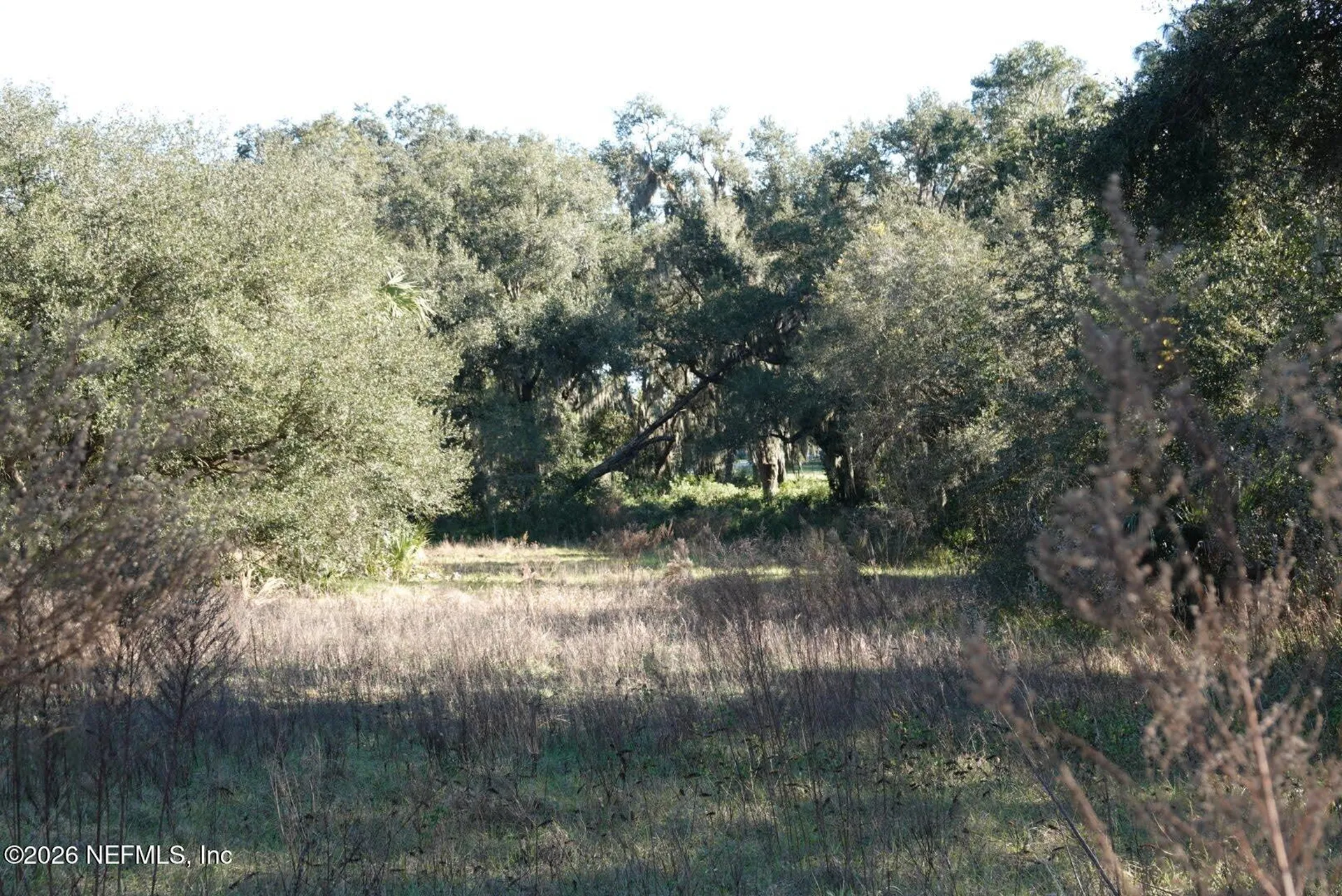 525 Raulerson Road Seville FL 32190