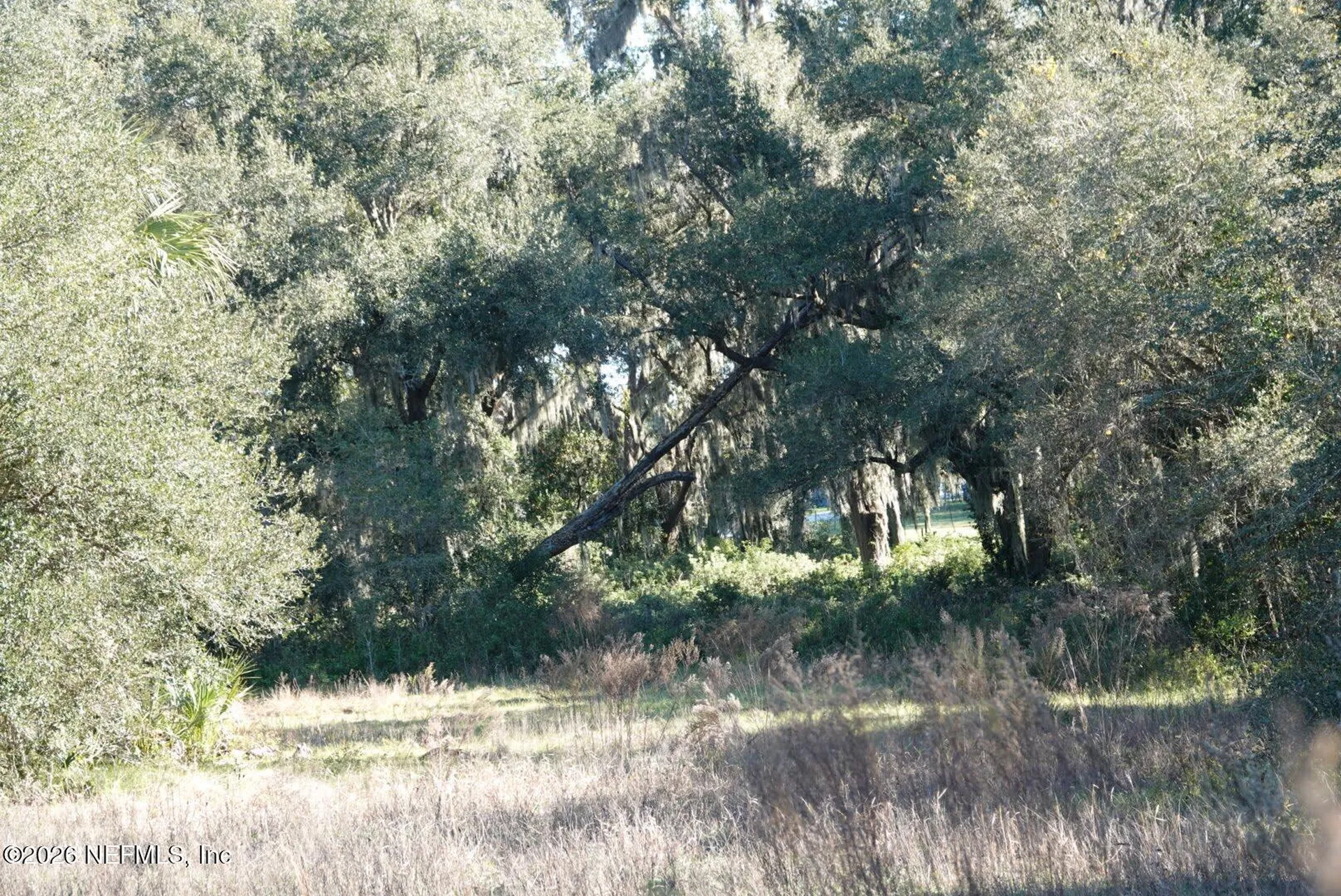525 Raulerson Road Seville FL 32190
