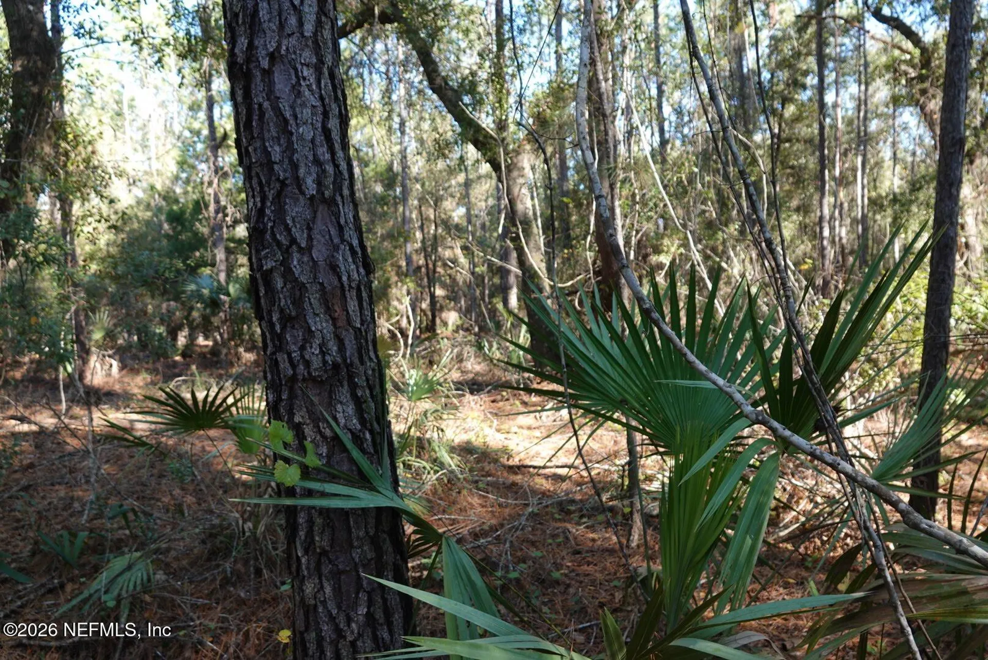525 Raulerson Road Seville FL 32190