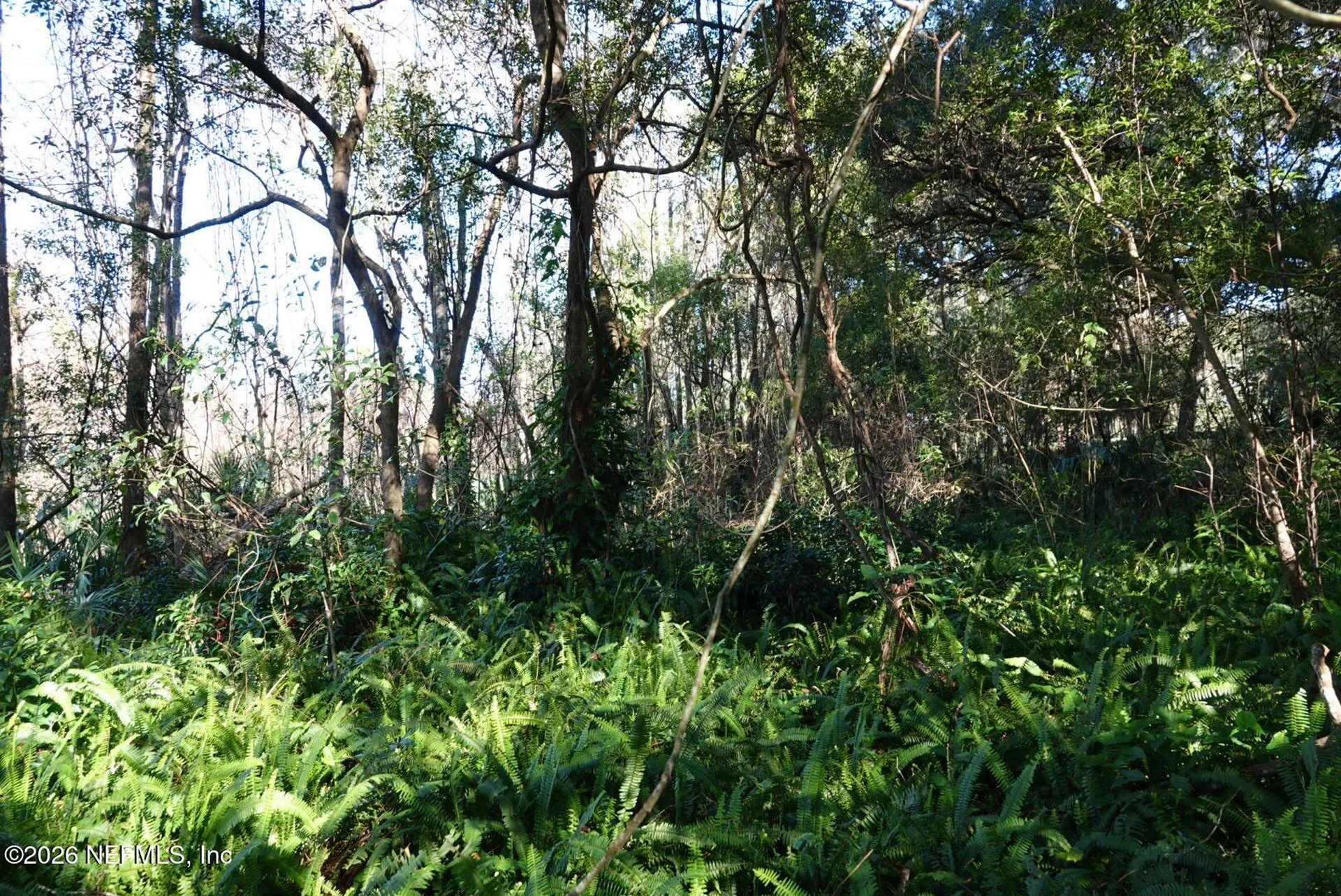 525 Raulerson Road Seville FL 32190
