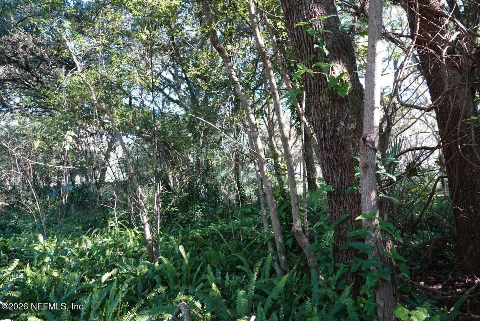 525 Raulerson Road Seville FL 32190