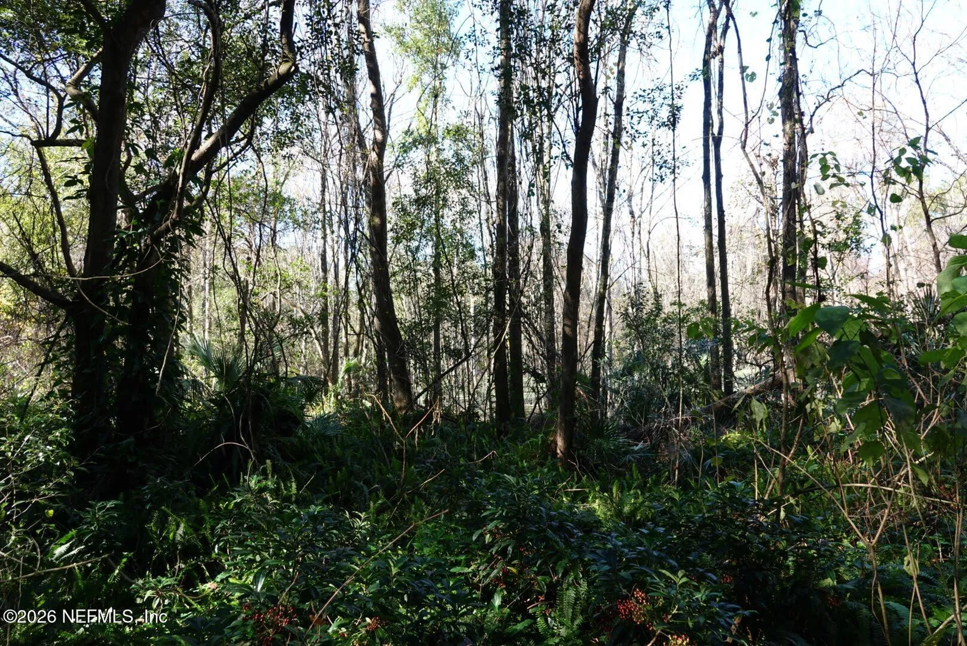 525 Raulerson Road Seville FL 32190