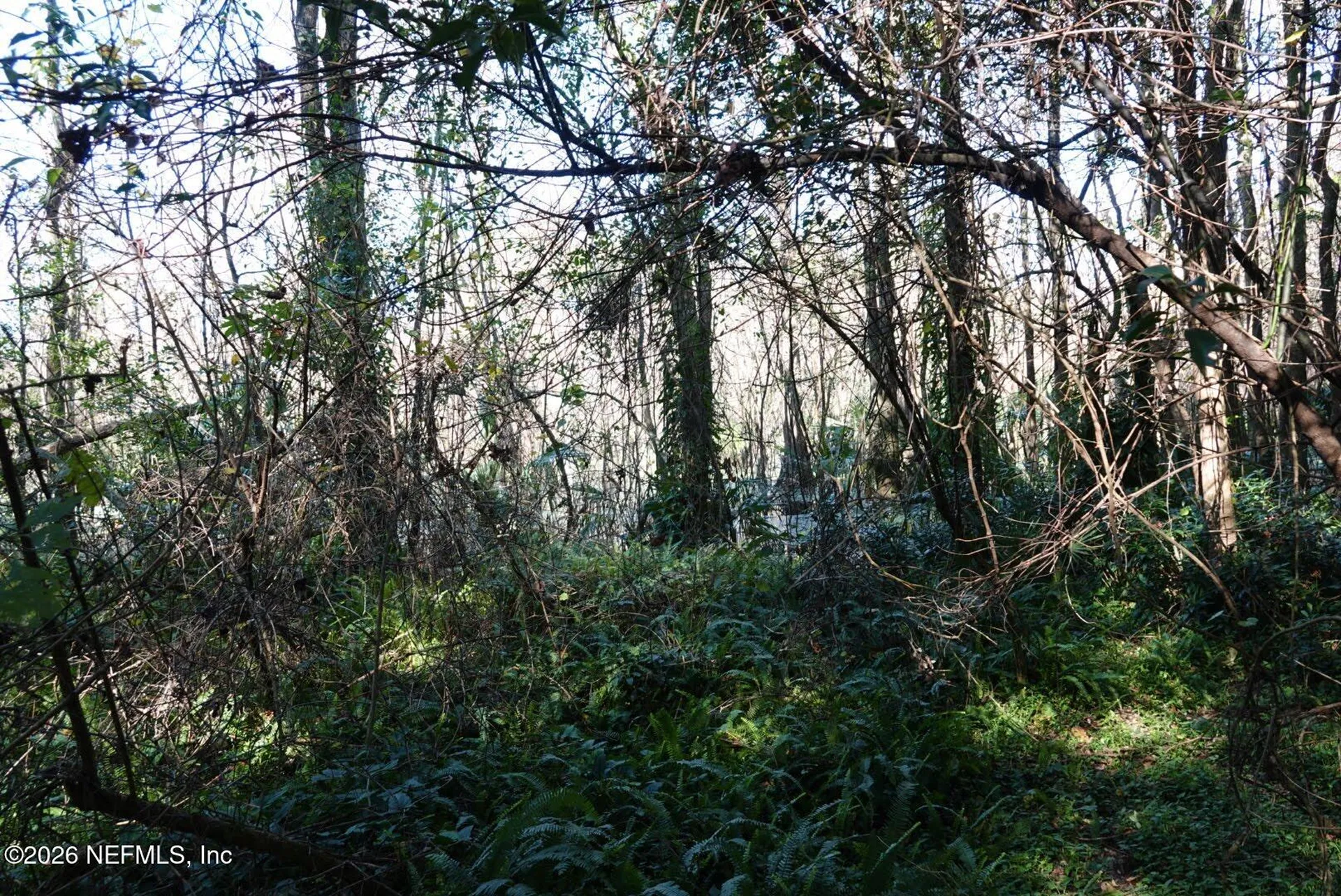 525 Raulerson Road Seville FL 32190