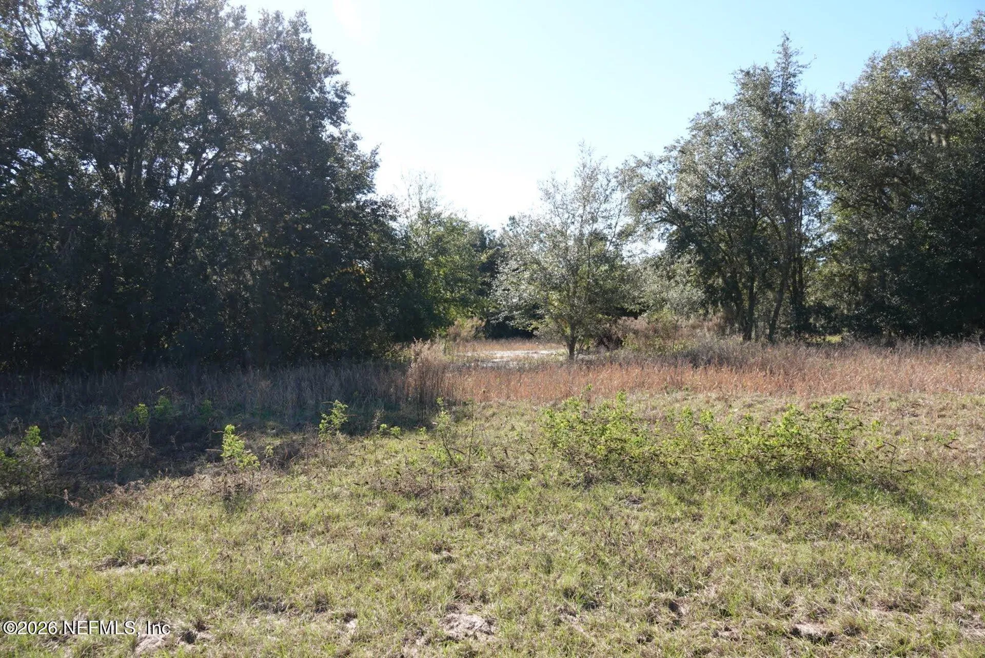 525 Raulerson Road Seville FL 32190