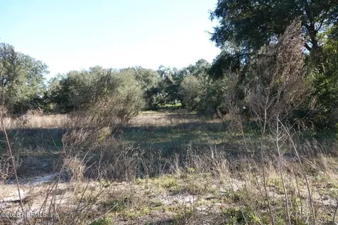 525 Raulerson Road Seville FL 32190