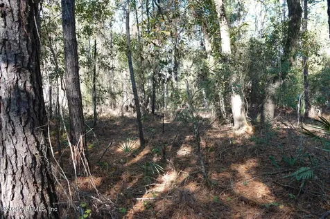 525 Raulerson Road Seville FL 32190