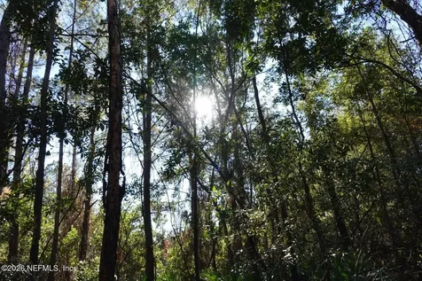 525 Raulerson Road Seville FL 32190