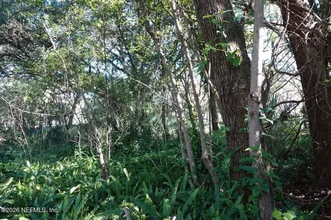525 Raulerson Road Seville FL 32190