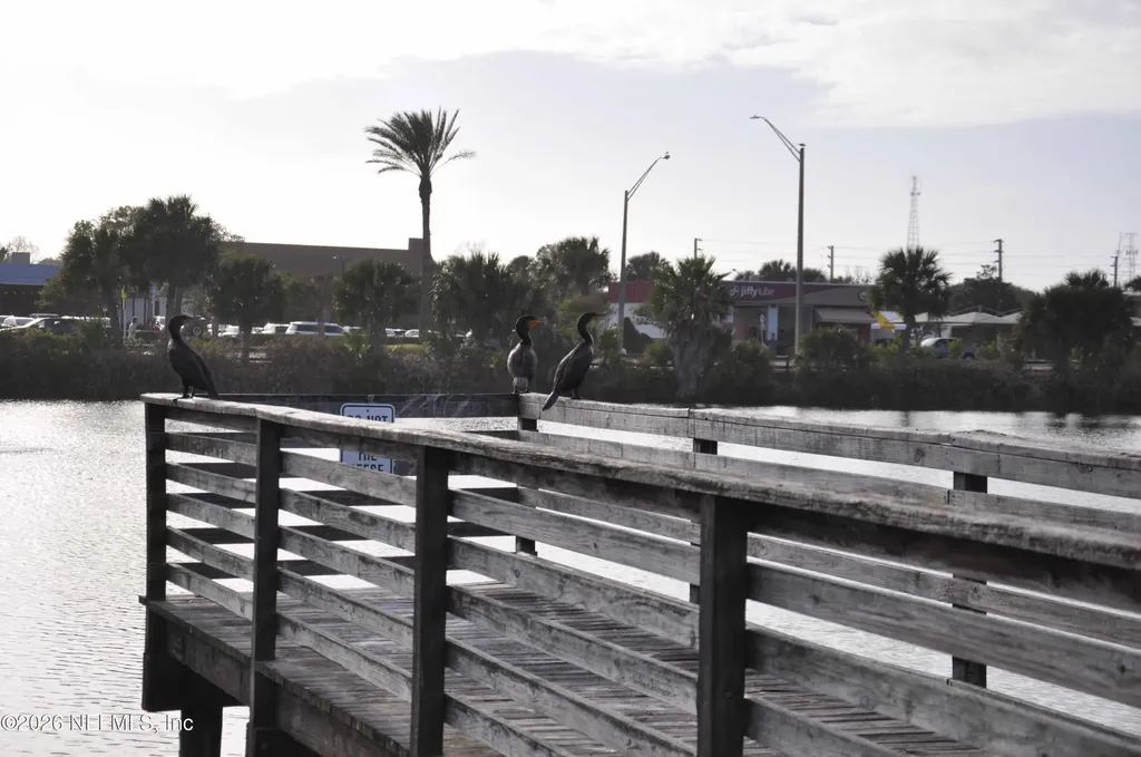 2074 S 2nd Street Jacksonville Beach FL 32250
