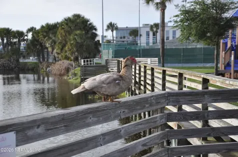 2074 S 2nd Street Jacksonville Beach FL 32250