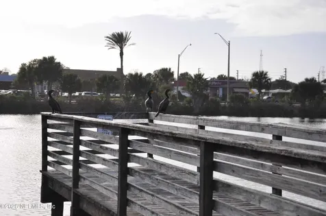 2074 S 2nd Street Jacksonville Beach FL 32250