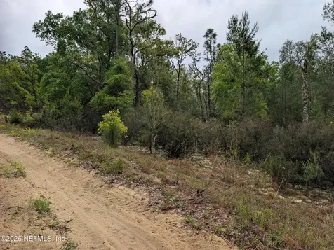 Lot 34 SE 10th Street Interlachen FL 32148