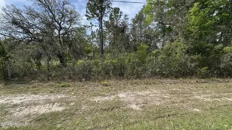 00 State Road 20 Interlachen FL 32148