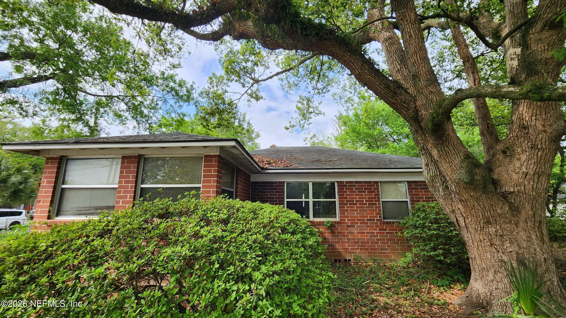 1003 Dixon Street Jacksonville FL 32254