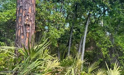 240 Street Johns Forest Boulevard St. Johns FL 32259