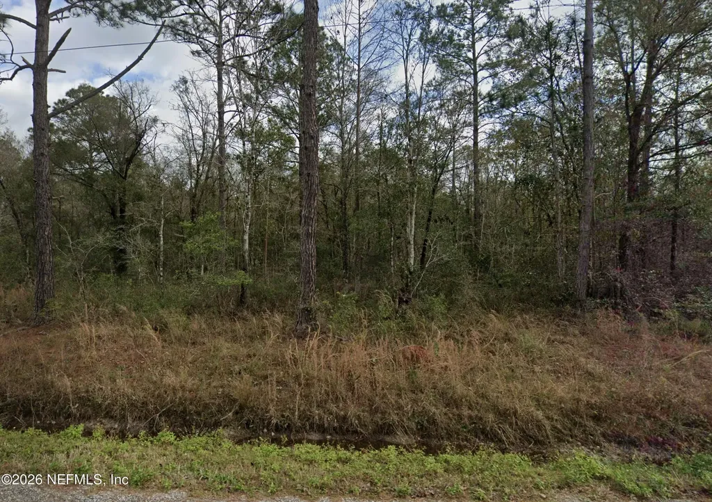 10230 Nikolich Avenue Hastings FL 32145