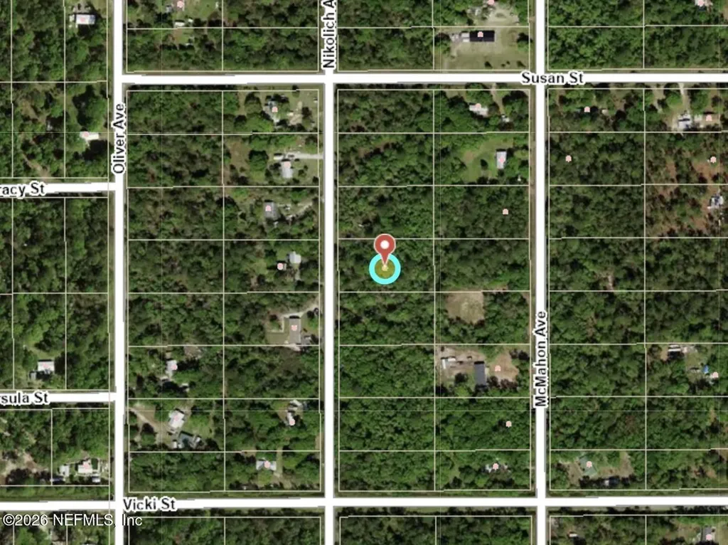 10230 Nikolich Avenue Hastings FL 32145