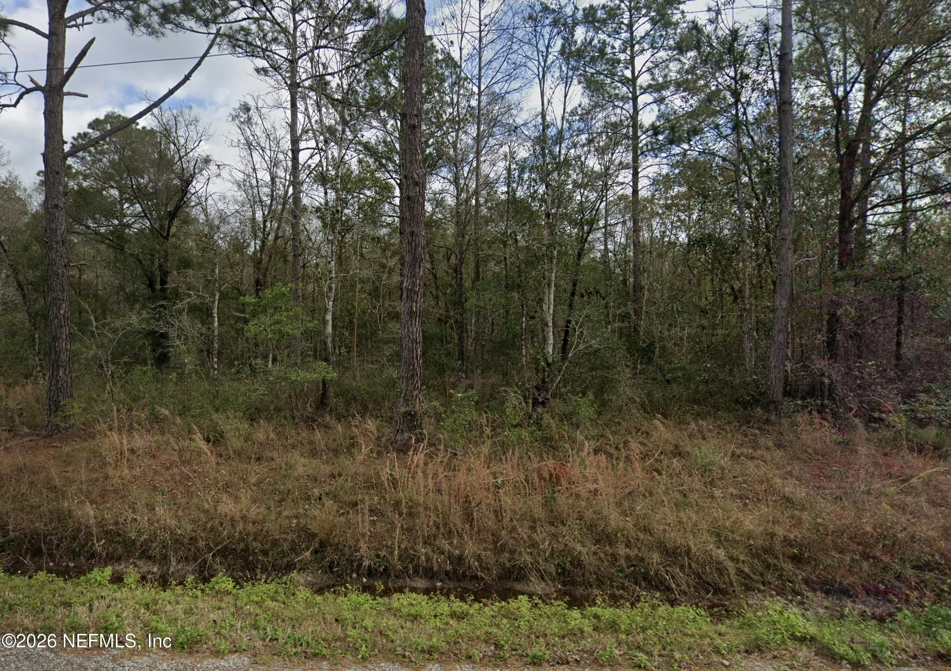 10230 Nikolich Avenue Hastings FL 32145