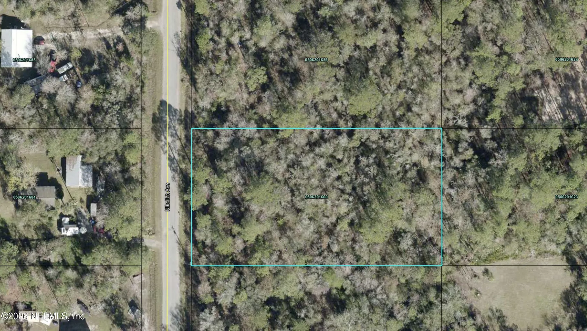 10230 Nikolich Avenue Hastings FL 32145