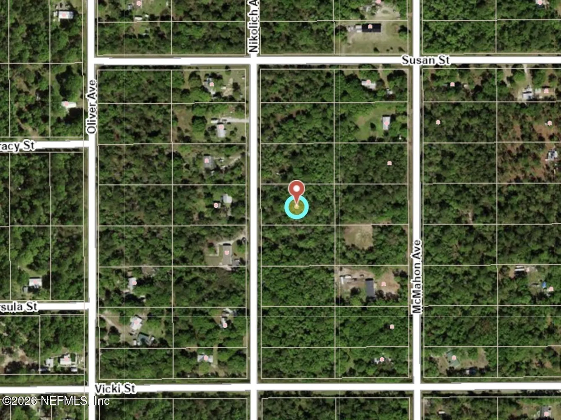 10230 Nikolich Avenue Hastings FL 32145