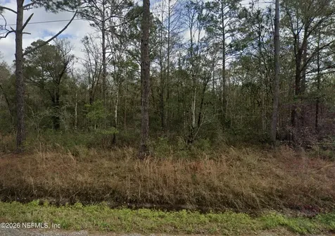 10230 Nikolich Avenue Hastings FL 32145