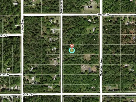 10230 Nikolich Avenue Hastings FL 32145