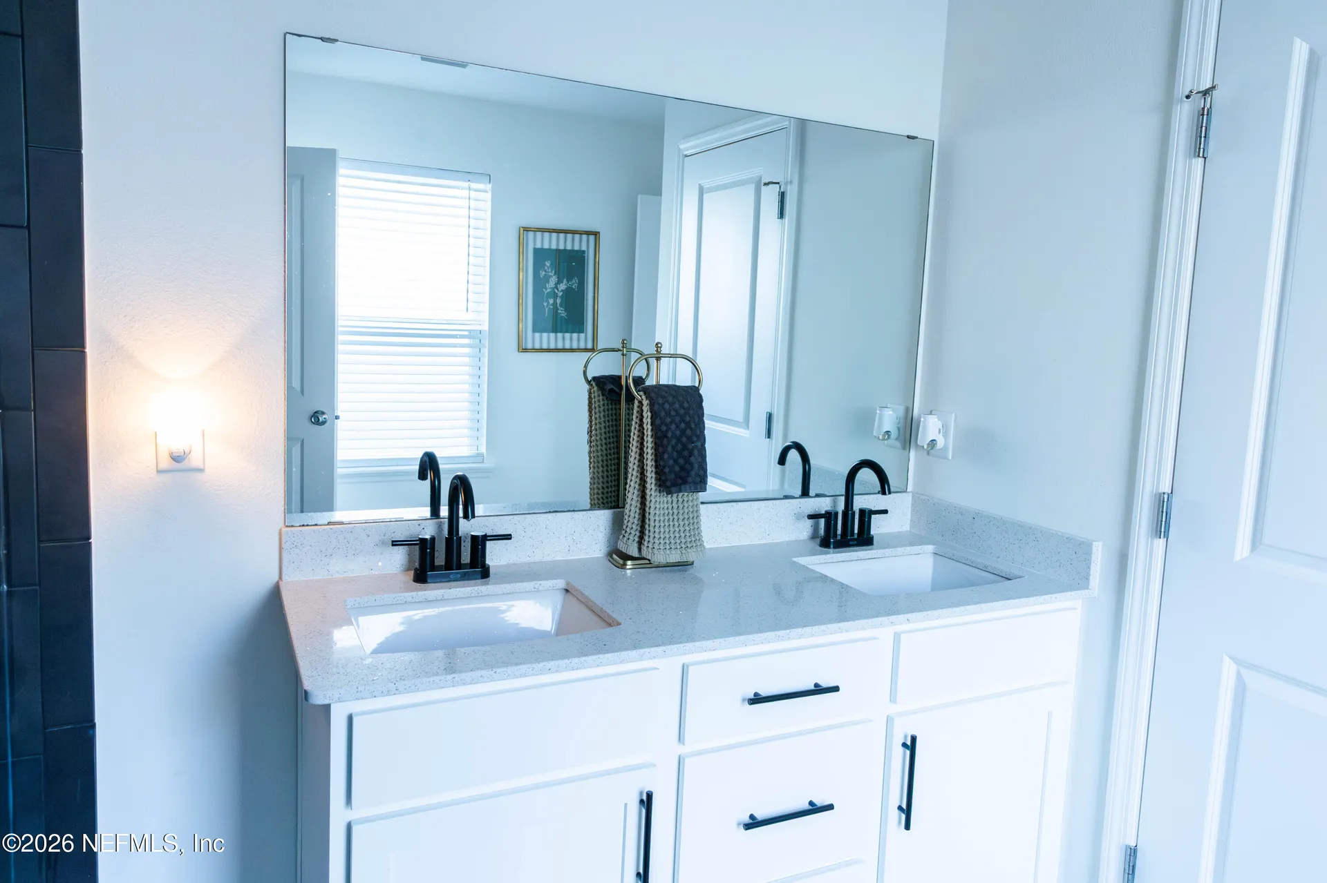 3341 Loofah Place Green Cove Springs FL 32043