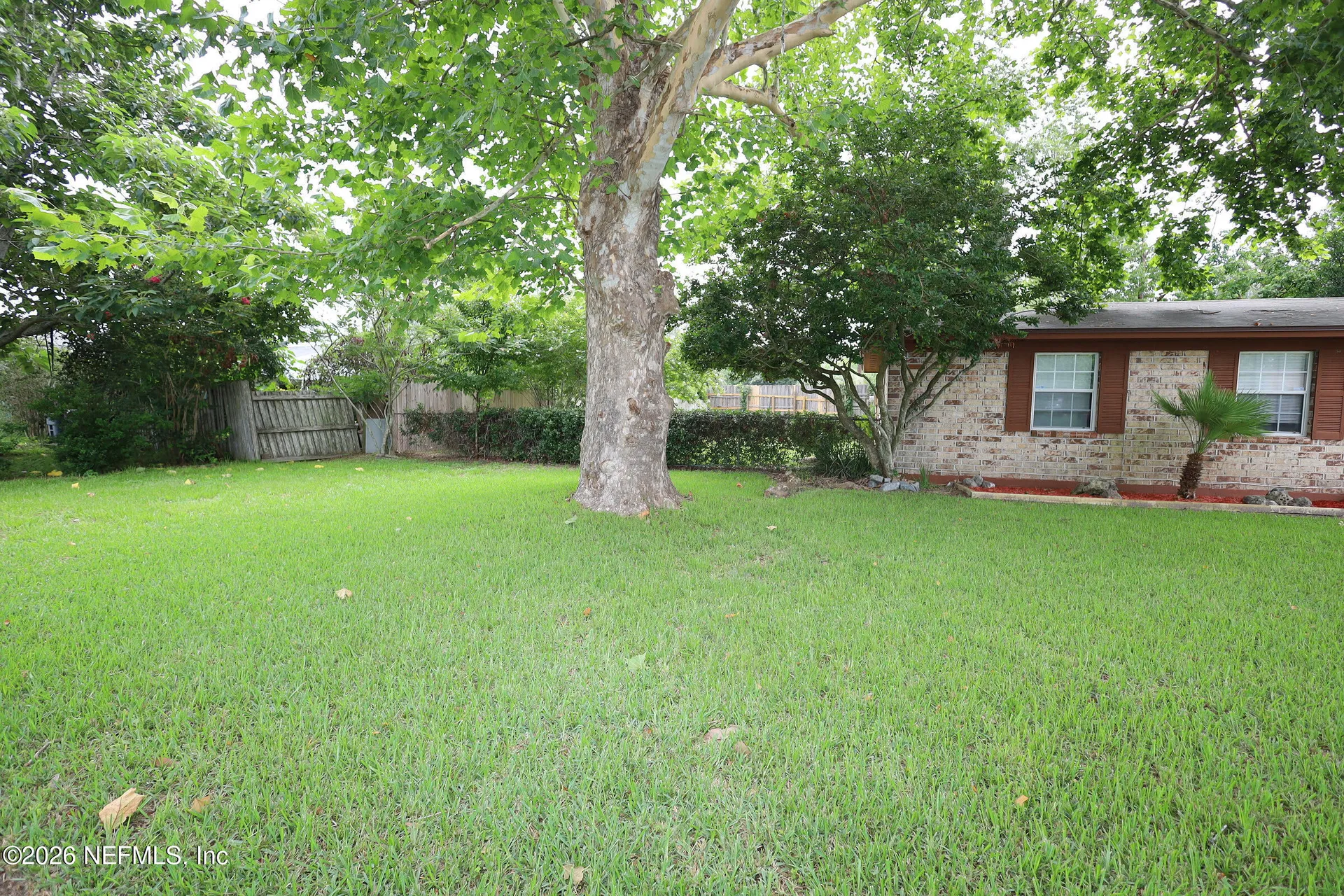 1039 Toney Terrace Court Jacksonville FL 32221