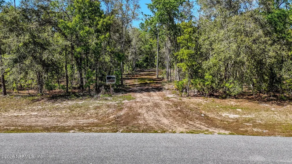 13541 Settindown Drive Bryceville FL 32009