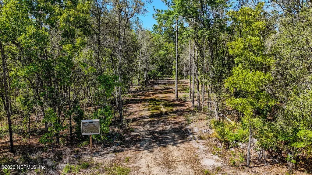 13541 Settindown Drive Bryceville FL 32009