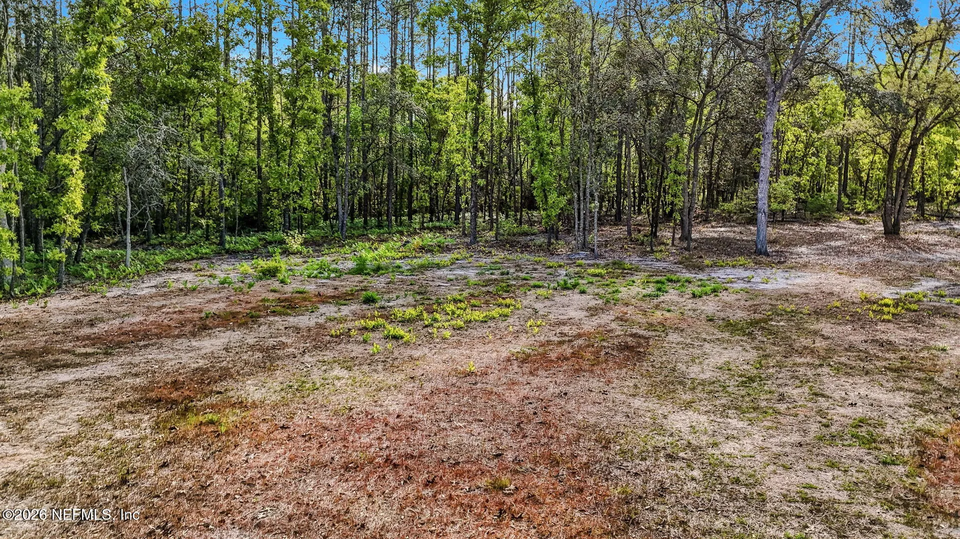 13541 Settindown Drive Bryceville FL 32009
