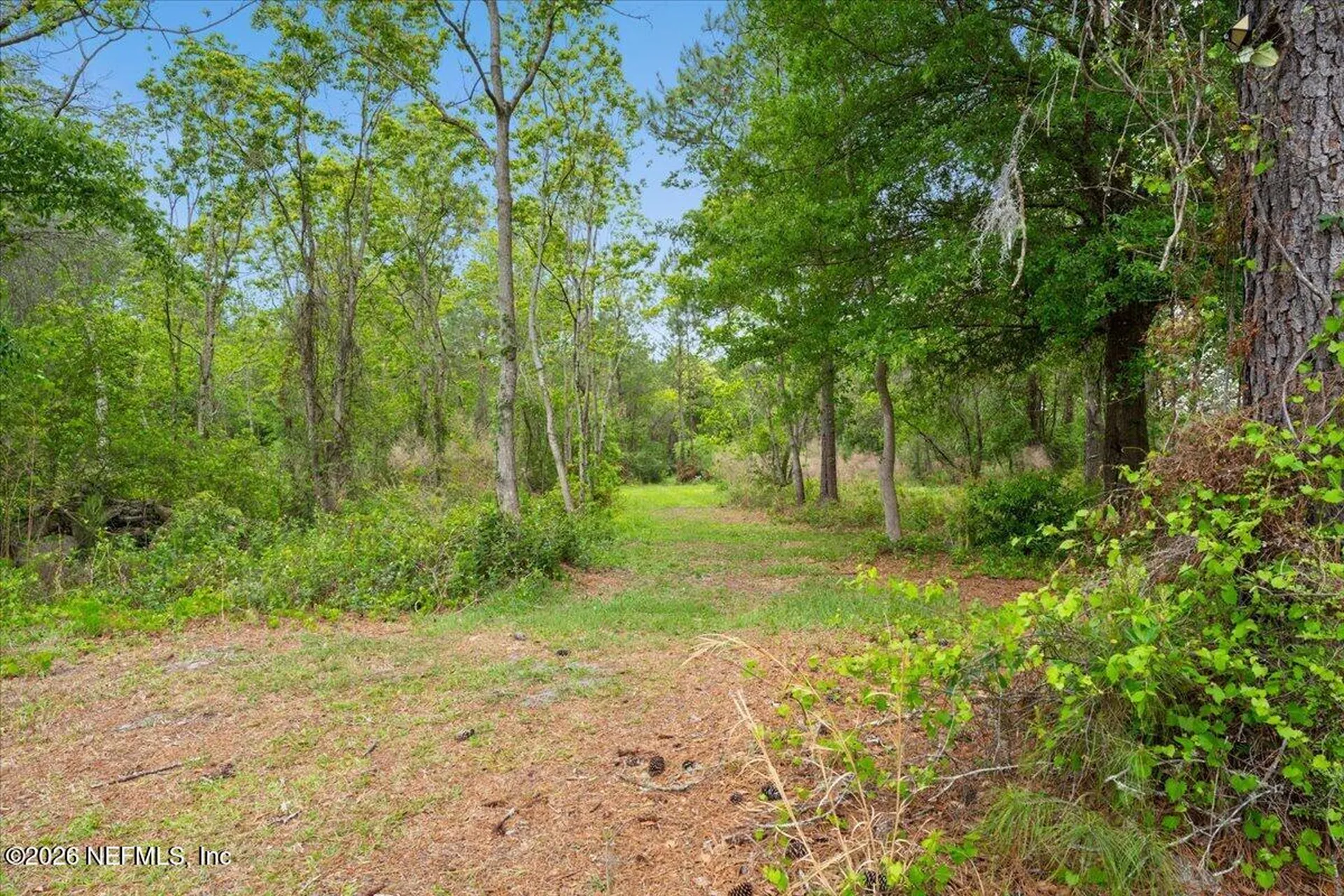 4400 South County Road 229 Glen St. Mary FL 32040