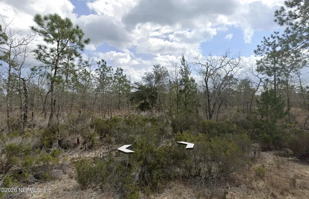 001 Salem Trail Interlachen FL 32148