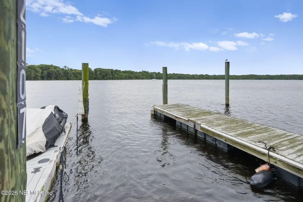 99 Broad River Place Welaka FL 32193