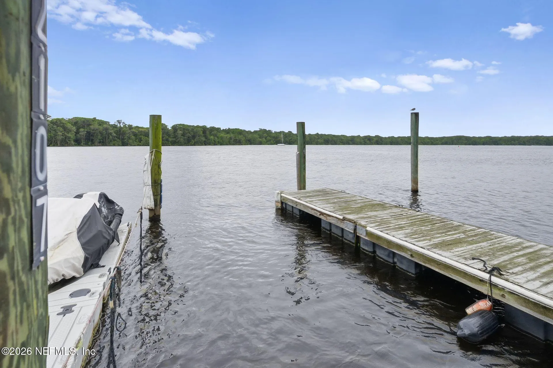 99 Broad River Place Welaka FL 32193