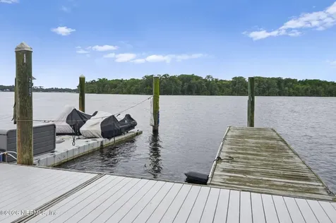 99 Broad River Place Welaka FL 32193