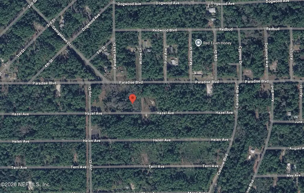 212 Hazel Avenue Georgetown FL 32139