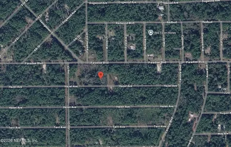 212 Hazel Avenue Georgetown FL 32139