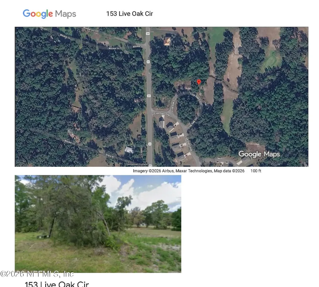 153 Live Oak Circle Crescent City FL 32112