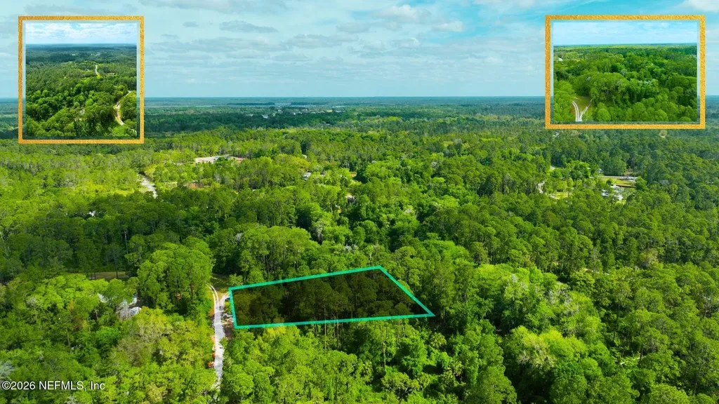 102 Hyacinth Court Georgetown FL 32139
