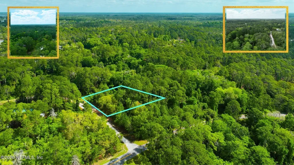 102 Hyacinth Court Georgetown FL 32139
