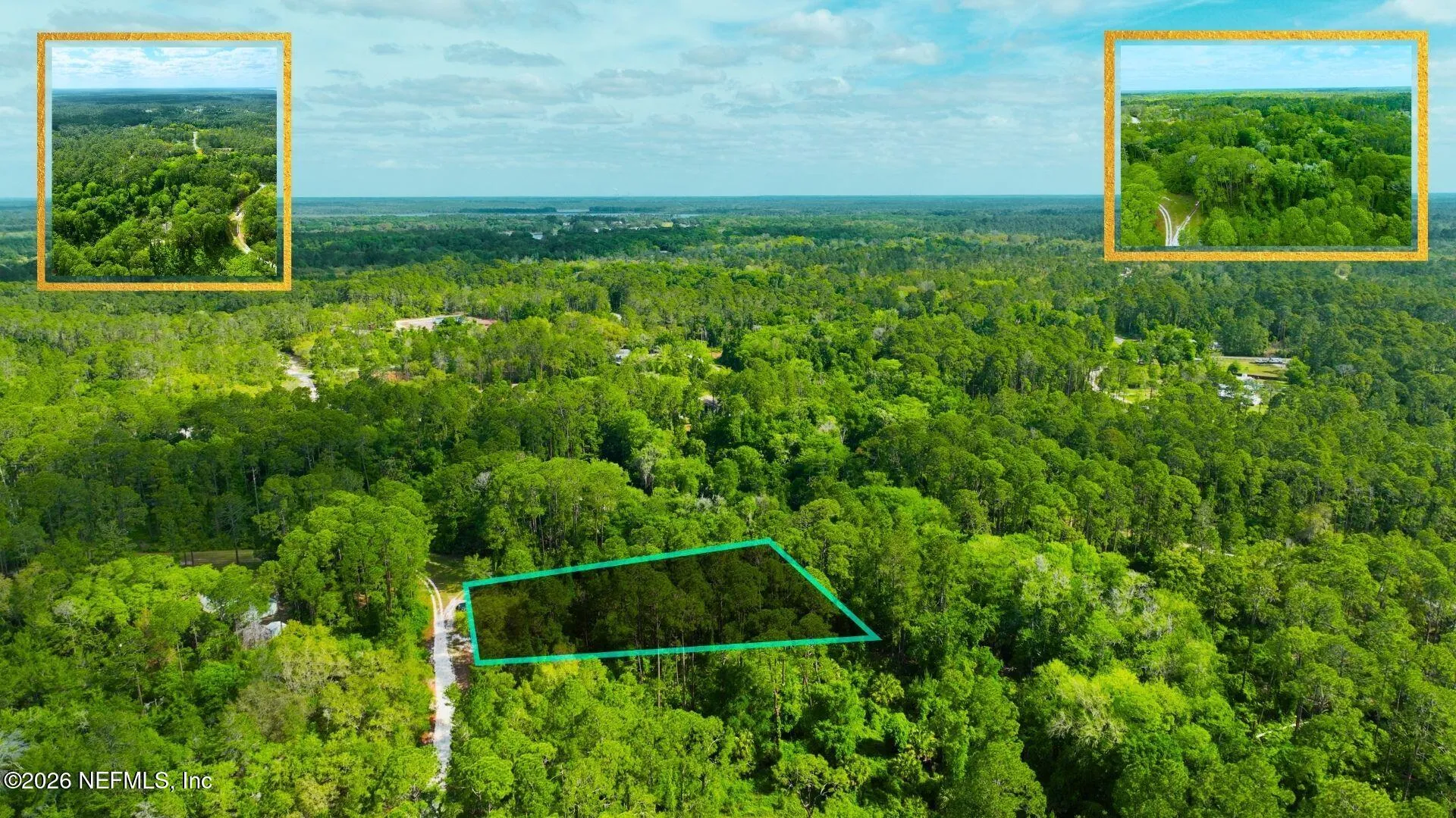 102 Hyacinth Court Georgetown FL 32139