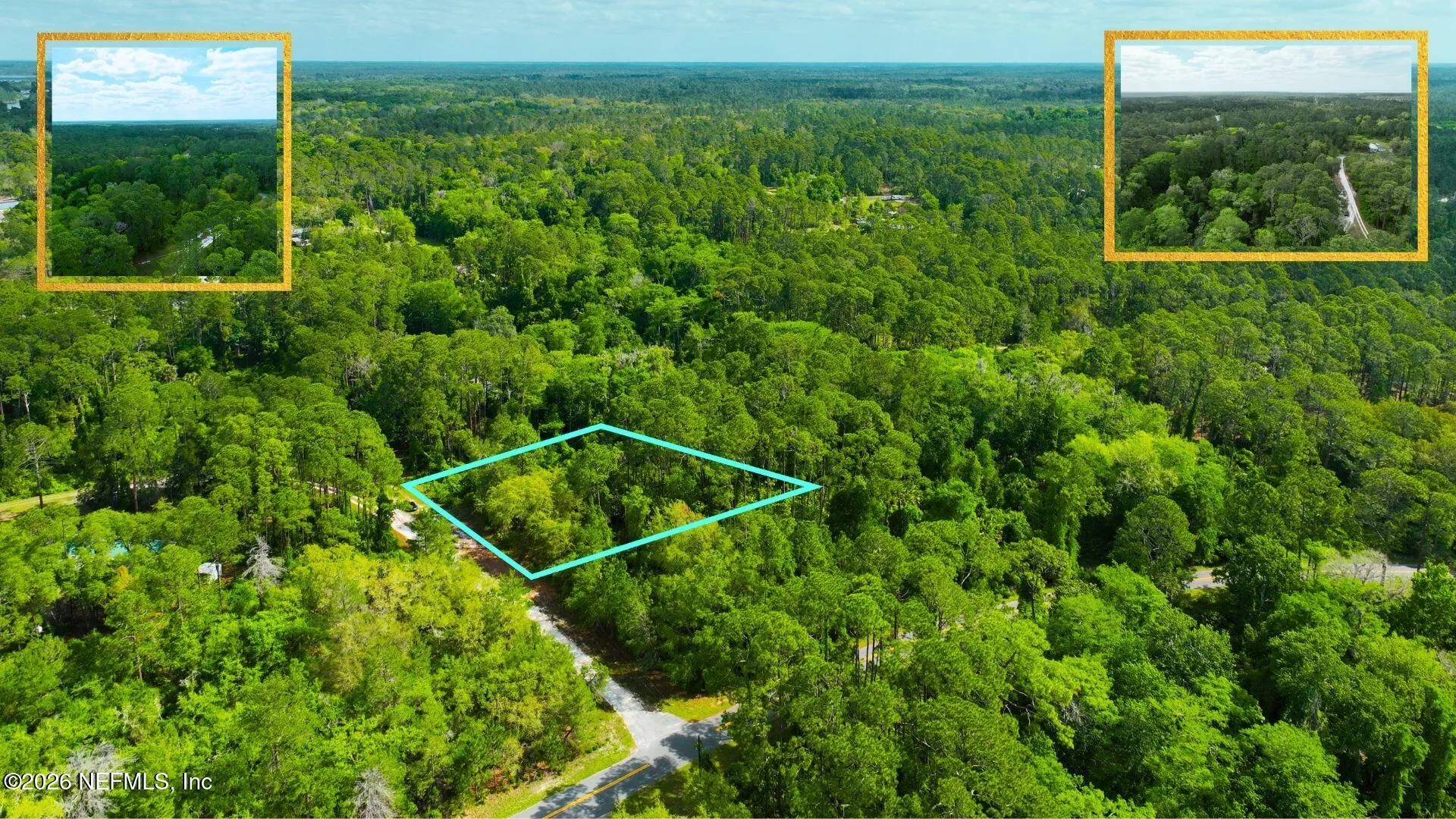 102 Hyacinth Court Georgetown FL 32139