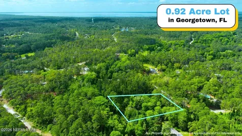 102 Hyacinth Court Georgetown FL 32139