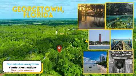102 Hyacinth Court Georgetown FL 32139