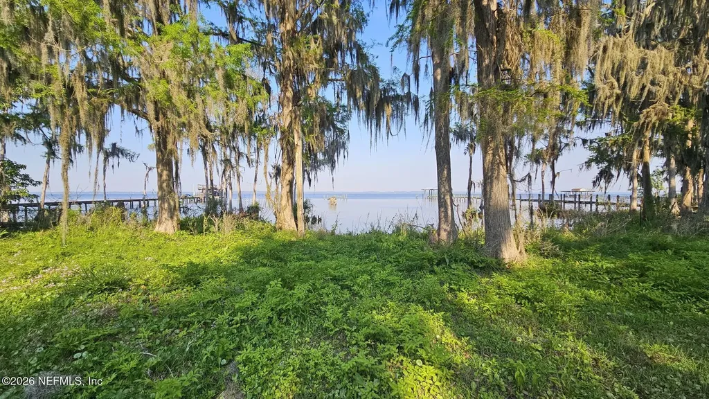 220 Six Pond Trail Green Cove Springs FL 32043