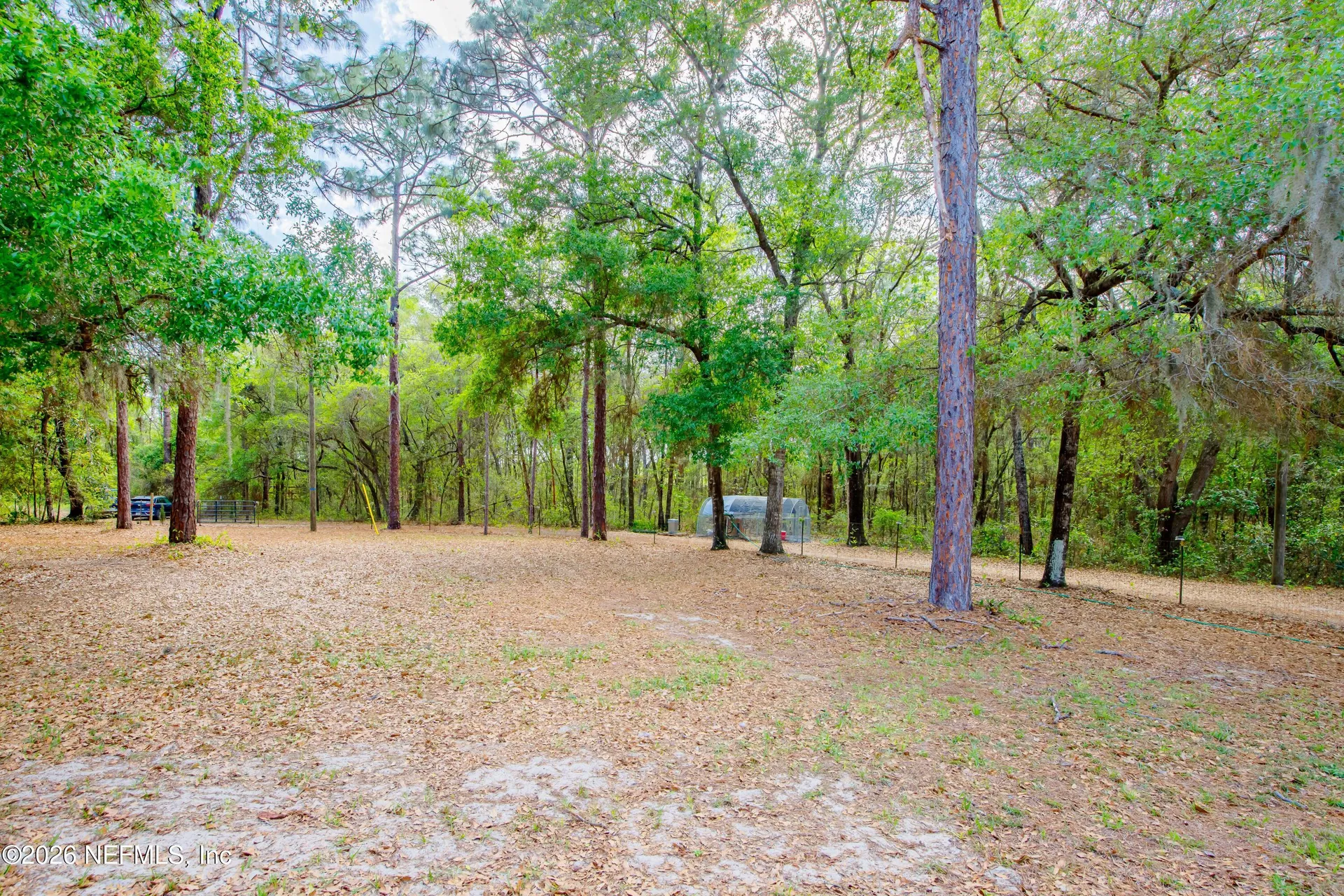 6656 Lovebird Court Keystone Heights FL 32656