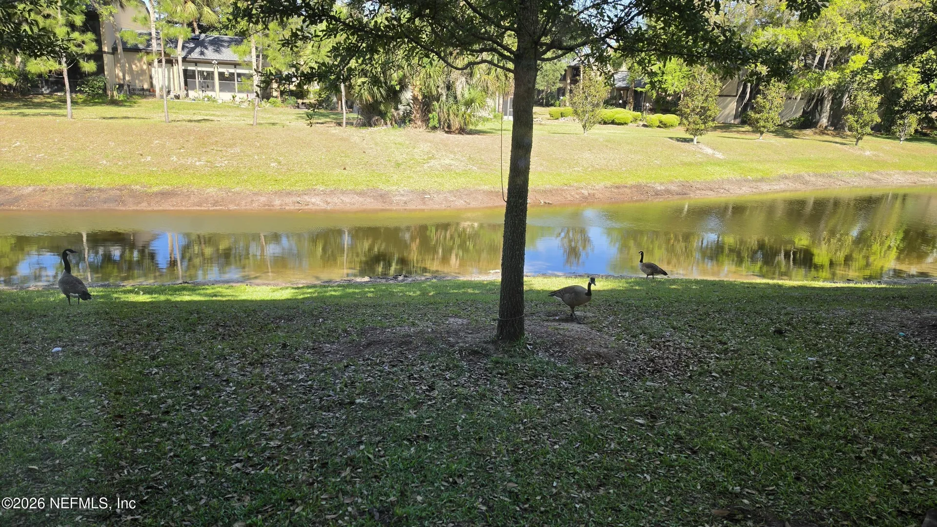 7680 Legacy Trail Jacksonville FL 32256