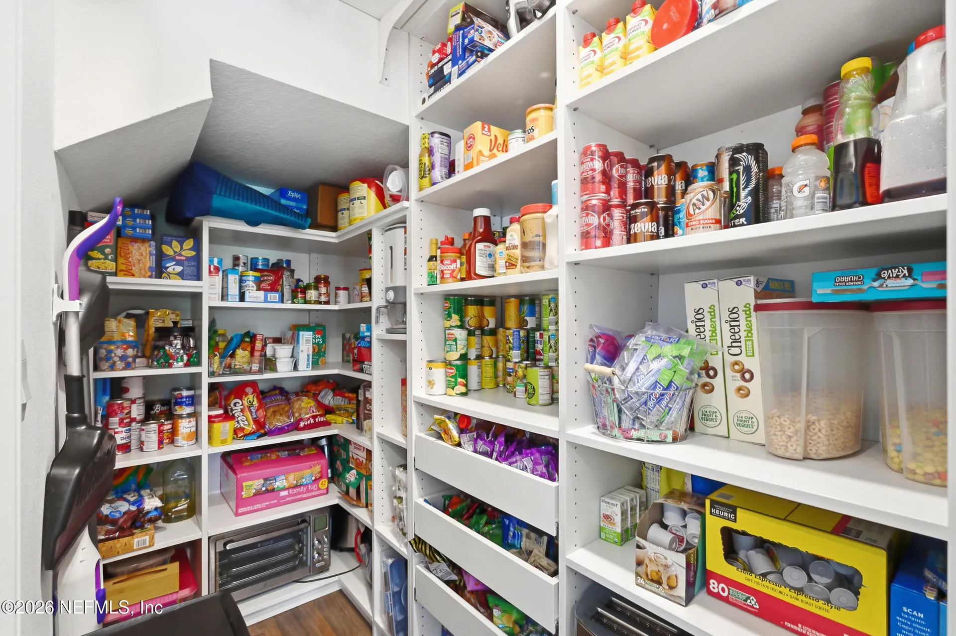 2836 Oak Stream Drive Green Cove Springs FL 32043